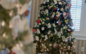 Dyer Lake Tree Lighting