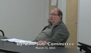 By-Law Sub-Committee 3-12-24