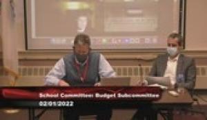 NA School Budget Subcommittee (2/1/2022)