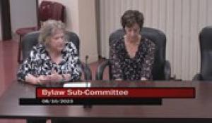By-Law Sub-Committee 8-10-23