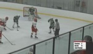 Hockey: Canton at North (1/20/21)