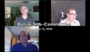 Bylaw Sub-Committee 7-15-20