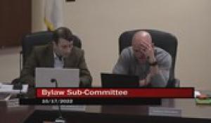 Bylaw Sub-Committee 10-17-22