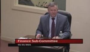 Finance Sub-Committee 3-23-21