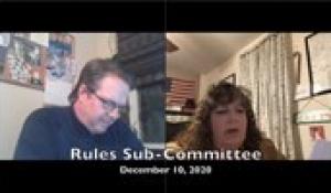 Rules Sub-Committee 12-10-20