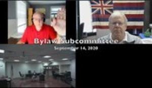 Bylaw Sub-Committee 9-14-20