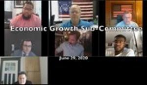 Economic Growth Sub-Committee 6-29-20