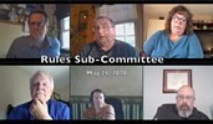 Rules Sub-Committee 5-21-20