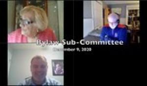 Bylaw Sub-Committee 12-9-20