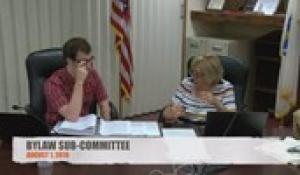 Bylaw Sub Committee 8-1-19
