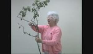 Master Gardener 5-15-13