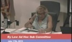 By Law Ad Hoc Sub Committee 7-17-19