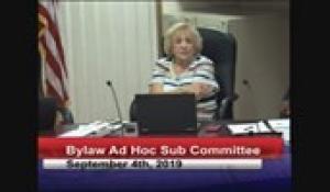 Bylaw Sub Committee 9-4-19
