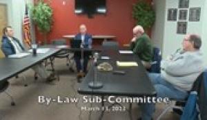 By-Law Sub-Committee 3-13-23