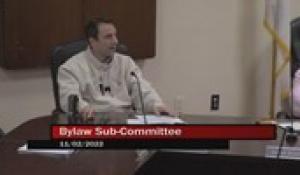 By-Law Sub-Committee 11-2-22