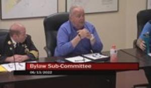 Bylaw Sub-Committee 6-13-22