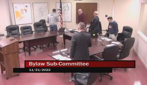 By-Law Sub-Committee 11-21-22