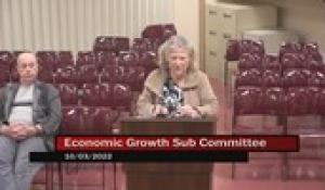 Economic Growth 10-3-22