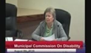 Disability Commission 8-8-19