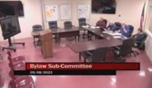 By-Law Sub-Committee 5-8-23