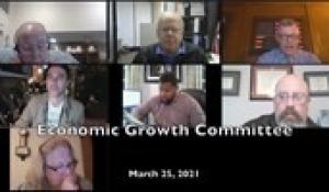 Economic Growth Committee 3-25-21