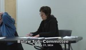 Bylaw Sub-Committee 1-17-24