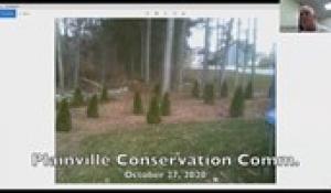 Plainville Conservation Commission 10-27-20