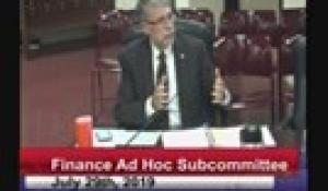 Finance Sub-Committee 7-29-19