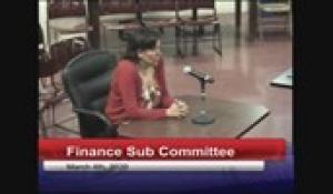 Finance Sub-Committee 3-4-20