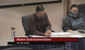 Rules Sub-Committee 3-22-22