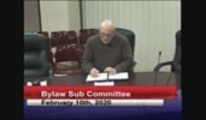 Bylaw Sub Committee 2-10-20