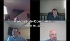 Rules Sub-Committee 4-16-20
