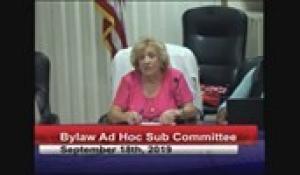 Bylaw Ad Hoc  Sub Committee 9-18-19