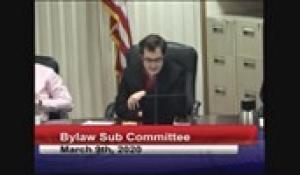 Bylaw Sub-Committee 3-9-20